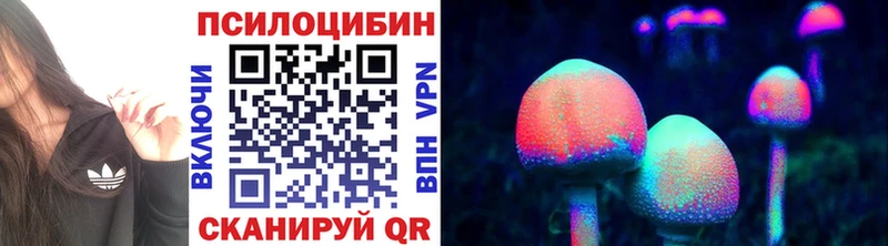 Псилоцибиновые грибы мицелий Купить где Ильский
